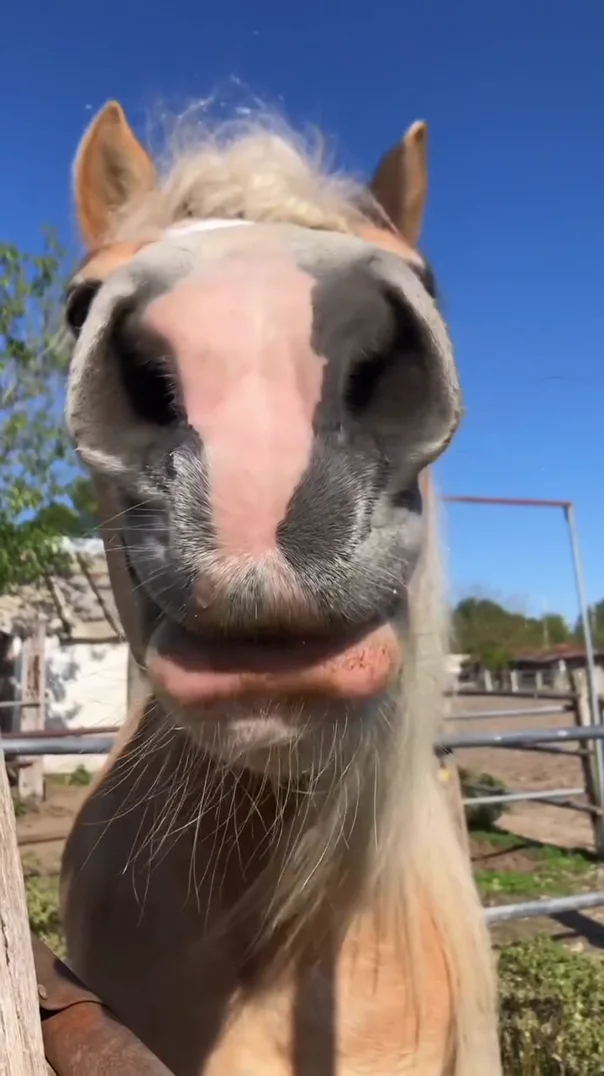 What’s your favorite 🤣